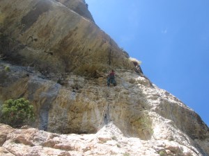 Line trener overheng