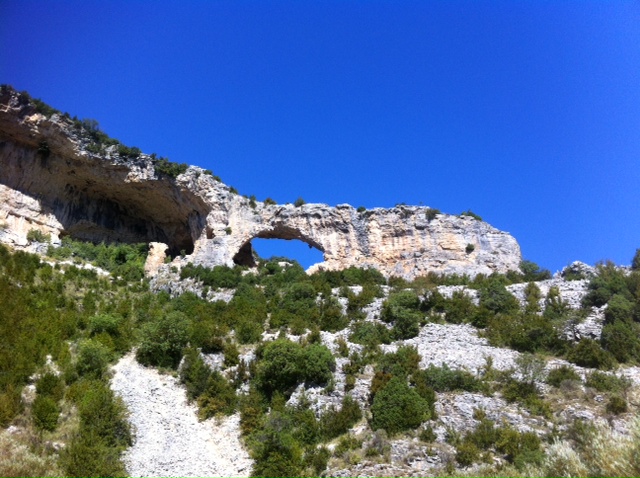 Den kjente delfinen i Rodellar